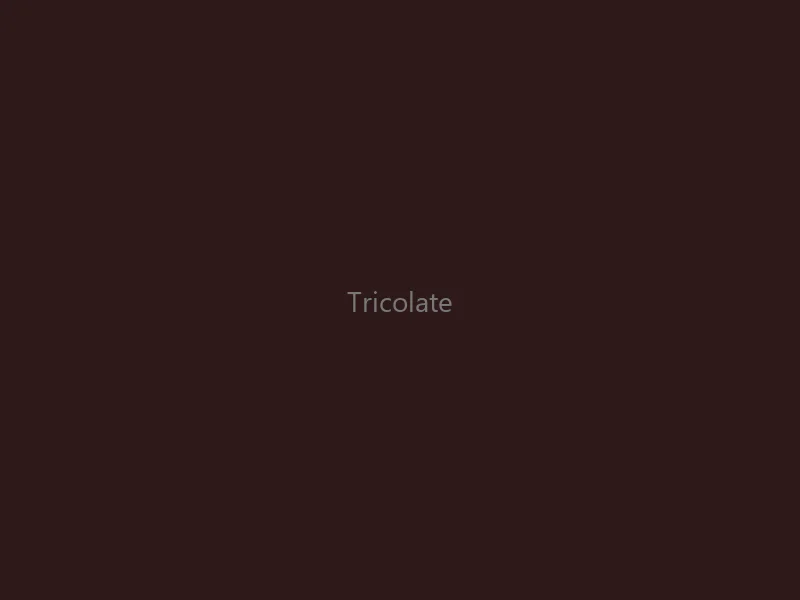 Tricolate Coffee Brewer