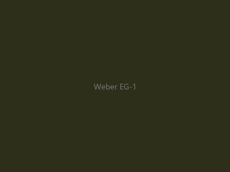 Weber EG-1